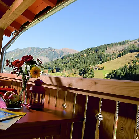 Jufa ホテル ドナースバッハヴァルト